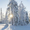 SnowFenix