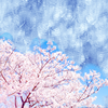Sea_of_Love7