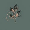 leaf_without_memory