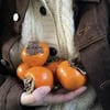 dulcet persimmon