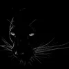 Moon Panthera
