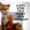 GegeBook