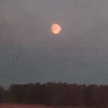 Они канон сладусь