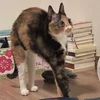Сэмчик знает что он Сэмчик