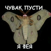 SuddenlyMoth
