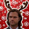 crazy_moose