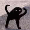 Bandieol