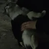 myyhell