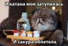 Диск С