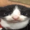 0890