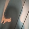 Хикка любящая бухло