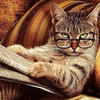 Cat_Line