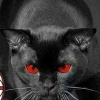 Forza Milan