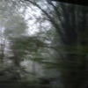 Rivers from the eyes