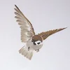 PasserBird