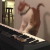DJ FPS