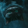 Сheshire Cat