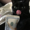Sss.