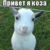 ihmditttt