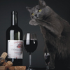 Gato com vinho do porto