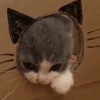 miarind