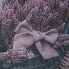 elizabeth_0303