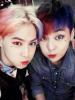 ann_vinsent1415