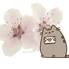 AiuAi0