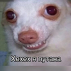 Green_Eye