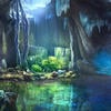 Цветок Росы Солнца и Луны