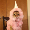 Ann_Miller