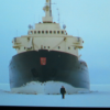 captain Arctica