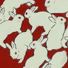 rabbit_eats_rose