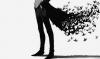 Velvet_Swallowtail