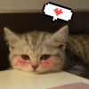 tired
