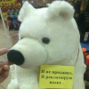 Тёплый свитер белой панды