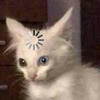 Katerineeee
