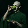 Death.eaters_voldemort