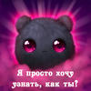 Печенька медвежонка 54