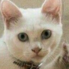Ashaxer