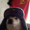 Дарья Сан