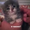 Хихикала с хахалками под хохохошками