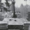 gemoroy111