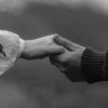 titap_love.happens