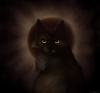BurningMoon