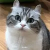 самый важный коммунист