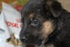 I_Kaite04_I