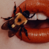 Meli_bee