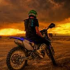 MOTO Mx