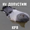 Psix.01